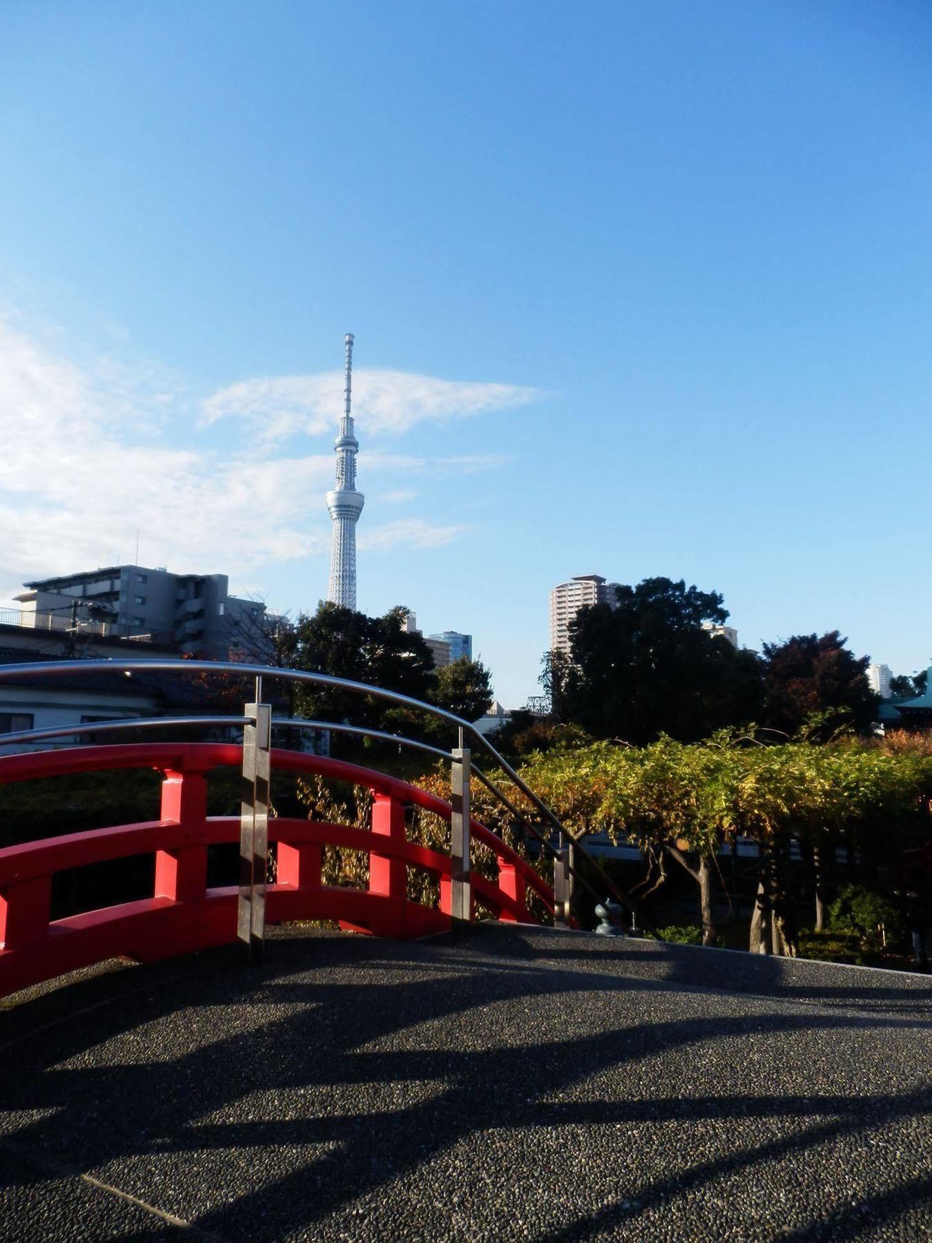 Excel City Hotel Kameido Tokyo Bagian luar foto